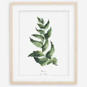 Plakat botaniczny - Fern (Paproć)