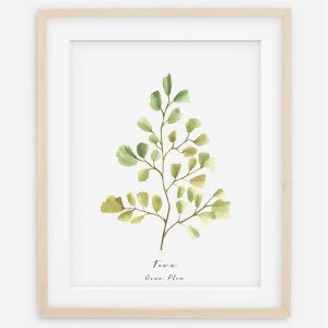 Plakat botaniczny - Yellow Fern (Paproć)