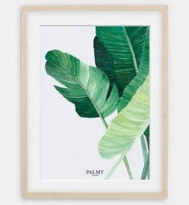 Plakat botaniczny - Palmy mod 3