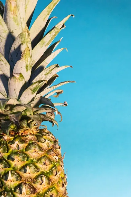 Zestaw plakatów botanicznych  - Monstera i Bananowiec 