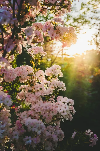 plakaty botaniczne pakamera bluszcz zielony plkakat liscie.jpg